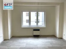 Pronájem bytu 1+kk, Plzeň, Sladkovského, 38 m2