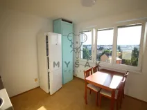 Prodej bytu 1+1, České Budějovice - České Budějovice 4, Rudolfovská tř., 46 m2