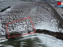 Prodej pole, Přišimasy, 7366 m2