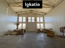 Pronájem skladu, Olomouc, 1300 m2