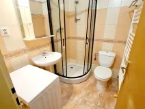 Pronájem bytu 2+kk, Praha - Vinohrady, Řipská, 40 m2