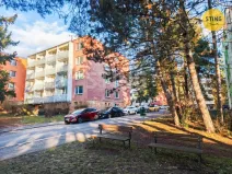 Prodej bytu 1+1, Brno, Foerstrova, 42 m2