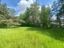 Dražba louky, Býkov-Láryšov, 2300 m2