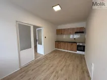 Pronájem bytu 3+1, Most, Josefa Suka, 68 m2