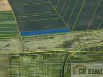 Prodej pole, Lešany, 15035 m2