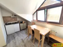 Pronájem bytu 1+kk, Brno, Palackého třída, 28 m2