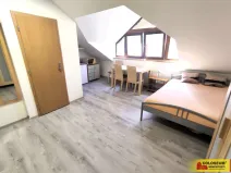 Pronájem bytu 1+kk, Brno, Palackého třída, 28 m2