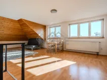 Prodej bytu 1+kk, Praha - Liboc, Litovická, 48 m2