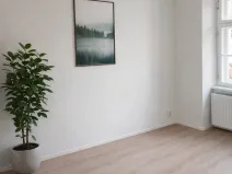 Pronájem bytu 1+kk, Olomouc, Zámečnická, 32 m2