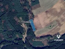 Prodej lesa, Konojedy, 3288 m2