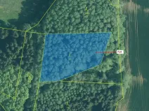 Dražba lesa, Kuřimany, 2850 m2