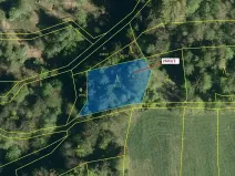 Dražba lesa, Zděchov, 1036 m2