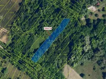 Dražba lesa, Ivančice, 1130 m2