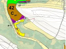 Dražba lesa, Březovice, 4432 m2