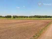 Prodej pole, Nikolčice, 10239 m2