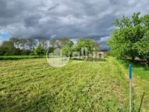 Prodej sadu/vinice, Tištín, 1062 m2