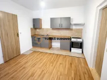 Pronájem bytu 1+1, Vizovice, Palackého Nám., 45 m2