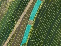 Prodej pole, Maršov, 31902 m2