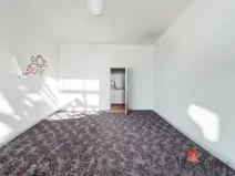 Prodej bytu 2+kk, Praha - Žižkov, Hartigova, 60 m2