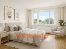 Pronájem bytu 1+1, Ostrava - Zábřeh, Tylova, 39 m2