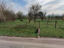 Prodej komerčního pozemku, Holešov, 1037 m2