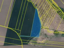 Prodej pole, Vrbice, Hlavní, 7211 m2