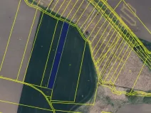 Prodej pole, Vrbice, Hlavní, 7211 m2