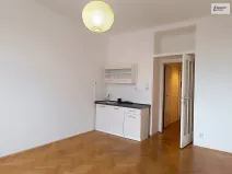 Pronájem bytu 1+kk, Praha - Vinohrady, Hradešínská, 30 m2