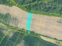 Dražba louky, Blatná, 11080 m2