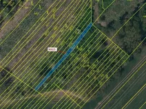 Dražba lesa, Březník, 234 m2