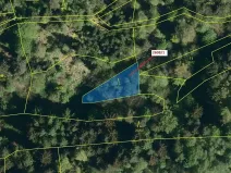 Dražba lesa, Zděchov, 481 m2