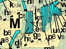 Dražba lesa, Ivančice, 477 m2