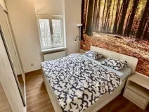 Pronájem bytu 2+kk, Karlovy Vary, Krále Jiřího, 55 m2