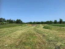 Prodej pozemku pro bydlení, Dublovice, 4428 m2