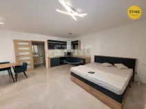 Pronájem bytu 1+kk, Ostrava, Na Lánech, 41 m2