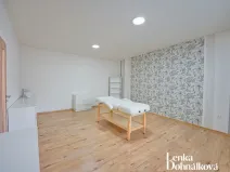 Pronájem komerční nemovitosti, Hodonín, Příční, 46 m2