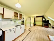 Pronájem bytu 1+kk, Veselá, 50 m2