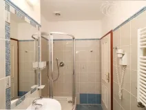 Pronájem bytu 1+kk, Praha - Vinohrady, Balbínova, 24 m2