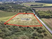 Prodej louky, Starý Plzenec, Bezručova, 18000 m2