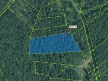 Dražba lesa, Jílovice, 5755 m2