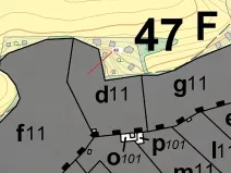 Dražba lesa, Sýkořice, 8962 m2