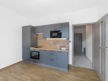 Pronájem bytu 1+kk, Zruč-Senec - Zruč, Sportovní, 42 m2