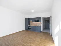 Pronájem bytu 1+kk, Zruč-Senec - Zruč, Sportovní, 42 m2