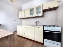 Pronájem bytu 2+1, Duchcov, Horská cesta, 52 m2