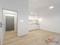 Pronájem bytu 1+kk, Brno - Horní Heršpice, Sokolova, 26 m2