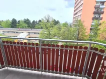 Pronájem bytu 1+1, Brno, Loosova, 37 m2