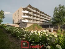 Pronájem bytu 1+kk, Olomouc, U solných mlýnů, 41 m2