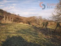 Prodej pozemku pro bydlení, Pavlov, Na Cimbuří, 849 m2