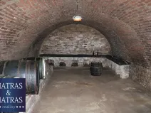 Prodej pozemku pro bydlení, Pavlov, Rudolfa Gajdoše, 59 m2