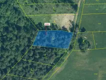 Dražba lesa, Zavlekov, 1331 m2